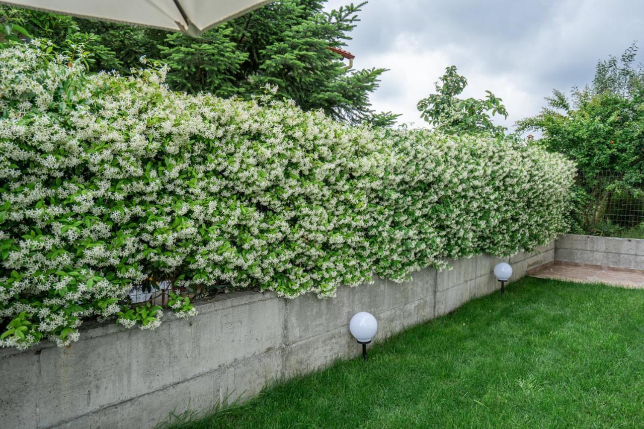 Veria Panorama Luxury Suite With Garden 2 Екстер'єр фото